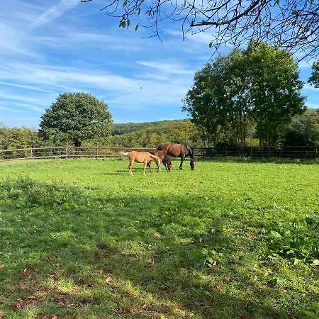 Apartmenthaus Bella Casa アパート ハーゲン