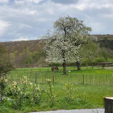 Apartmenthaus Bella Casa *