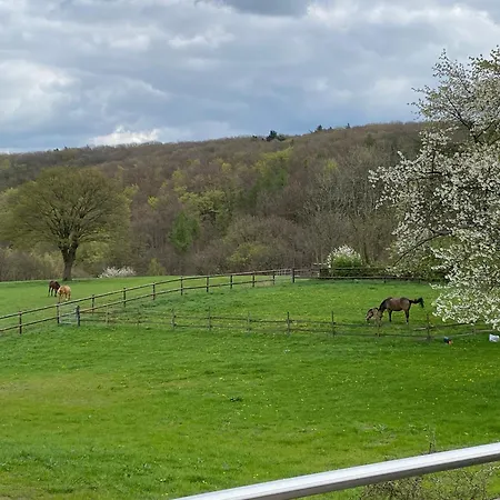 Apartmenthaus Bella Casa Апартаменты Хаген