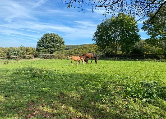 Apartmenthaus Bella Casa Appartement Hagen (Arnsberg)