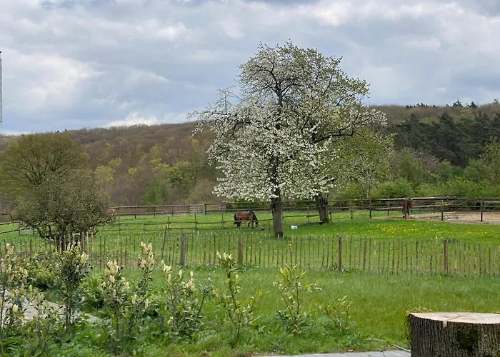 Apartmenthaus Bella Casa *