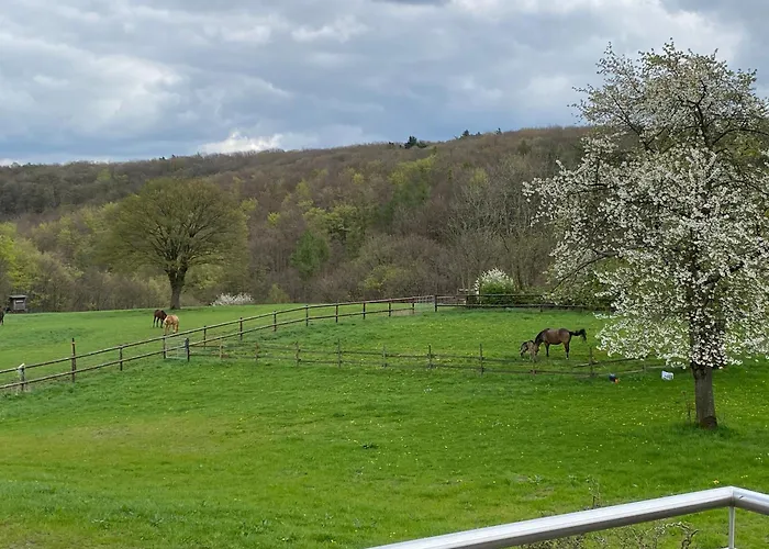 Apartmenthaus Bella Casa Apartmán Hagen (Arnsberg)